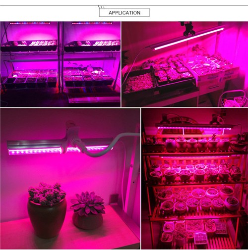 LightingWill 10Pcs 1/2/3/4 feet LED Tube T5 Grow Light Red/Blue Spectrum (R:B=5:1) Clear Lens for Indoor Plant Veg and Flower Hydroponic Greenhouse Growing Bar Light