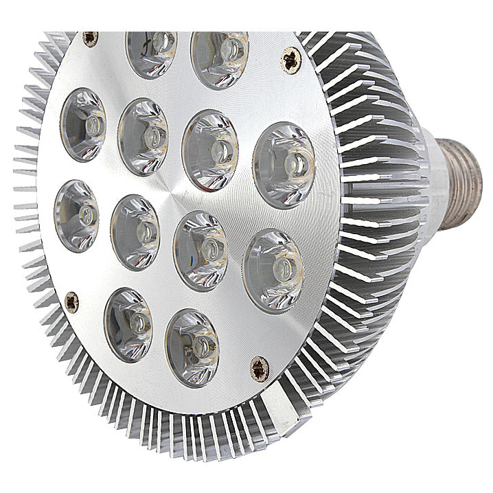 12W (12x1W) PAR38 LED Lamp with E27 Edison Screw Base 100-240V AC Silver Housing Indoor Type