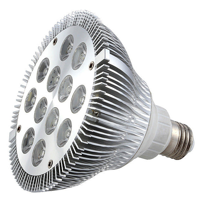 12W (12x1W) PAR38 LED Lamp with E27 Edison Screw Base 100-240V AC Silver Housing Indoor Type