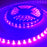 5 Meter (16.4 Feet) UV Ultraviolet 365~395nm SMD2835-600 12VDC 48Watt 120LED/Meter  Flexible LED Strip Lights